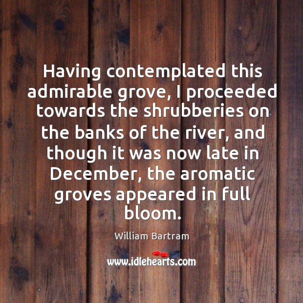 Having contemplated this admirable grove, I proceeded towards the shrubberies on the William Bartram Picture Quote