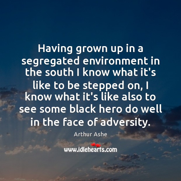 Having grown up in a segregated environment in the south I know Arthur Ashe Picture Quote