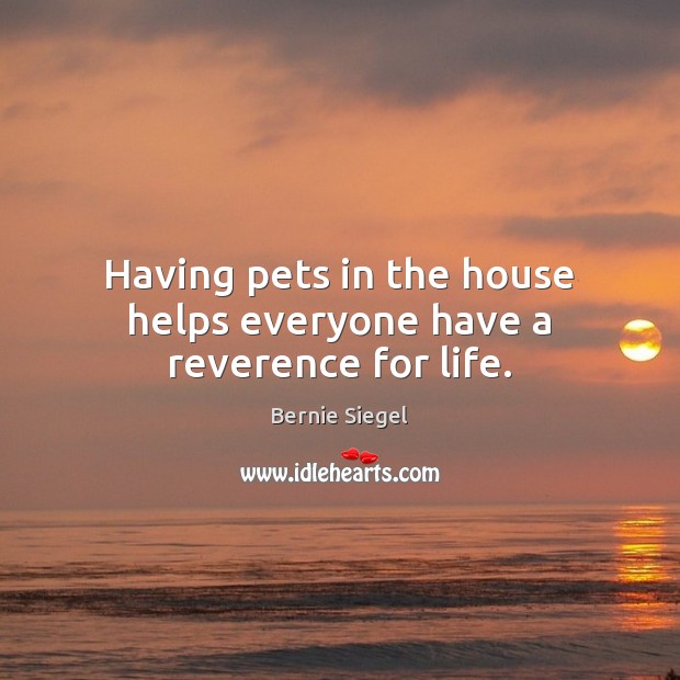 Having pets in the house helps everyone have a reverence for life. Bernie Siegel Picture Quote