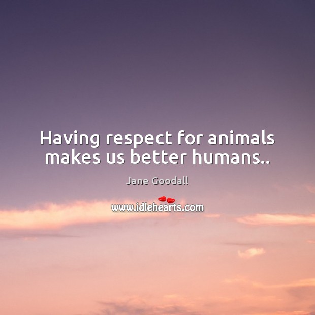 Having respect for animals makes us better humans.. Jane Goodall Picture Quote