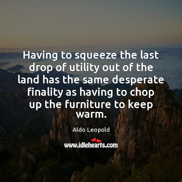 Having to squeeze the last drop of utility out of the land Aldo Leopold Picture Quote