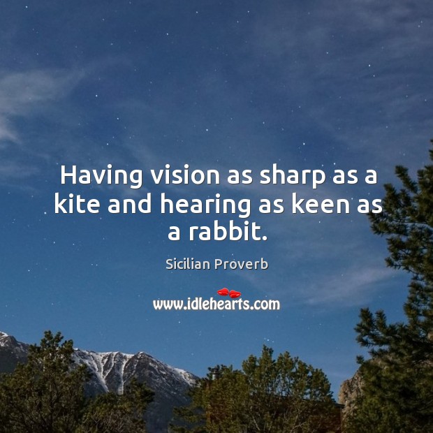 Having vision as sharp as a kite and hearing as keen as a rabbit. Sicilian Proverbs Image