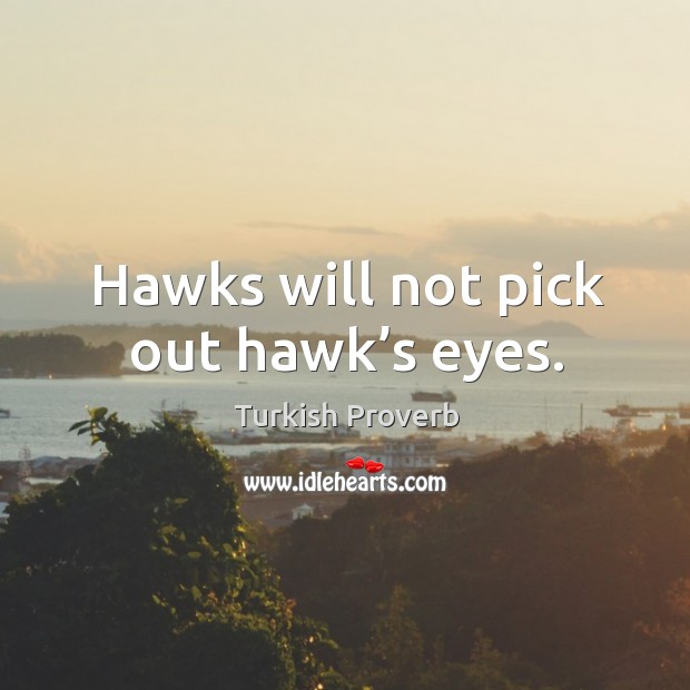 Hawks will not pick out hawk’s eyes. Image