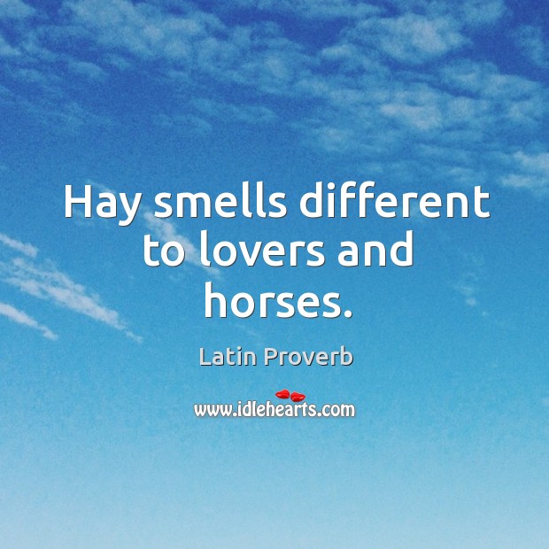 Hay smells different to lovers and horses. Image