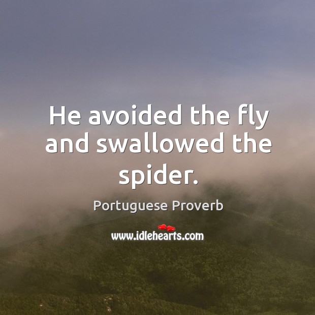He avoided the fly and swallowed the spider. Portuguese Proverbs Image