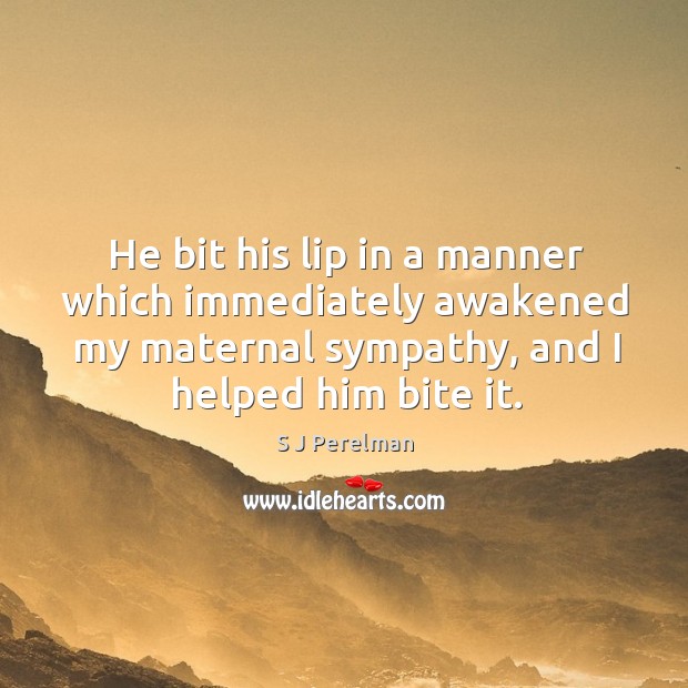 He bit his lip in a manner which immediately awakened my maternal sympathy, and I helped him bite it. 
