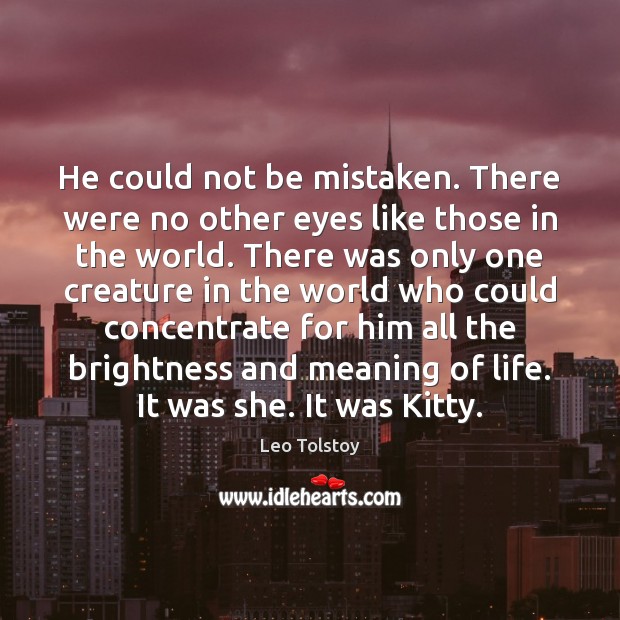 He could not be mistaken. There were no other eyes like those Leo Tolstoy Picture Quote