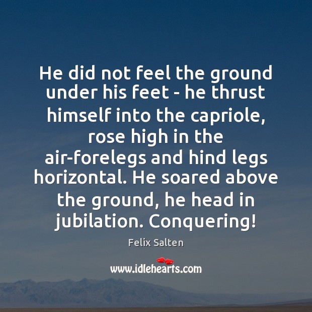 He did not feel the ground under his feet – he thrust Image