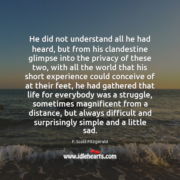 He did not understand all he had heard, but from his clandestine F. Scott Fitzgerald Picture Quote