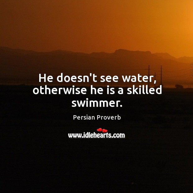 He doesn’t see water, otherwise he is a skilled swimmer. Persian Proverbs Image