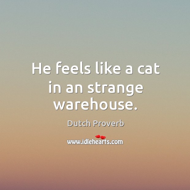 He feels like a cat in an strange warehouse. Dutch Proverbs Image