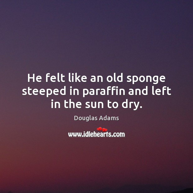 He felt like an old sponge steeped in paraffin and left in the sun to dry. Douglas Adams Picture Quote