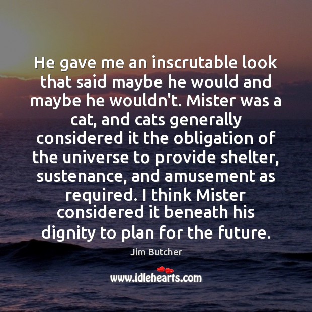 He gave me an inscrutable look that said maybe he would and Jim Butcher Picture Quote