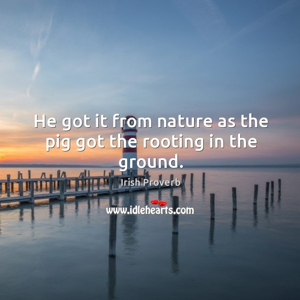 He got it from nature as the pig got the rooting in the ground. Irish Proverbs Image