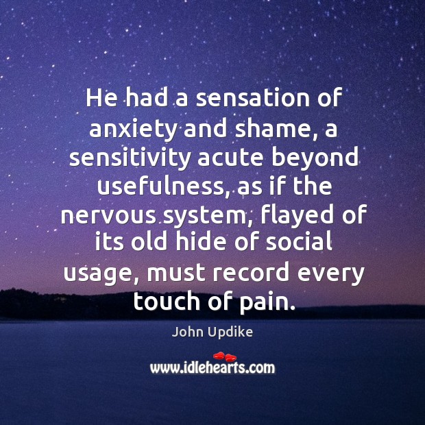 He had a sensation of anxiety and shame, a sensitivity acute beyond usefulness John Updike Picture Quote