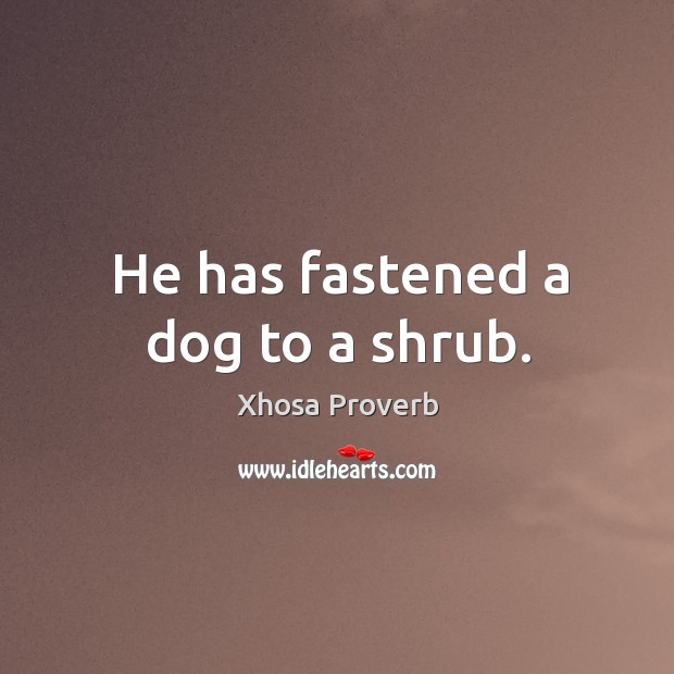 He has fastened a dog to a shrub. Xhosa Proverbs Image