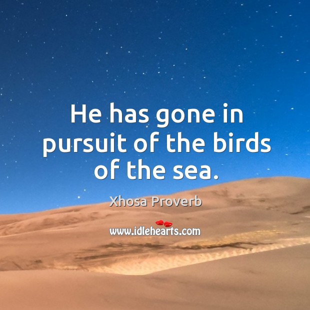 He has gone in pursuit of the birds of the sea. Image