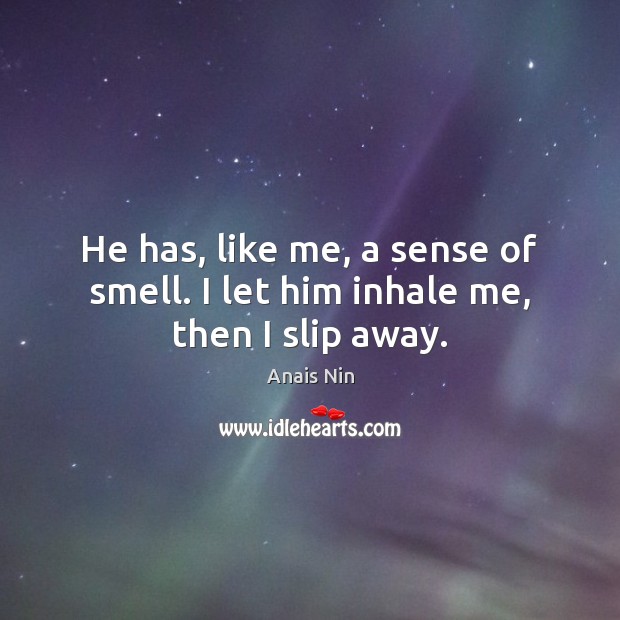 He has, like me, a sense of smell. I let him inhale me, then I slip away. Image