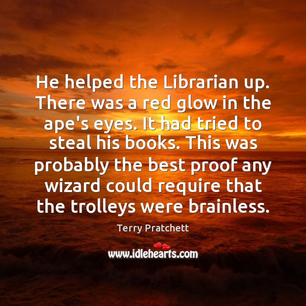 He helped the Librarian up. There was a red glow in the Image