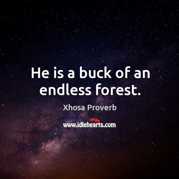 He is a buck of an endless forest. Xhosa Proverbs Image