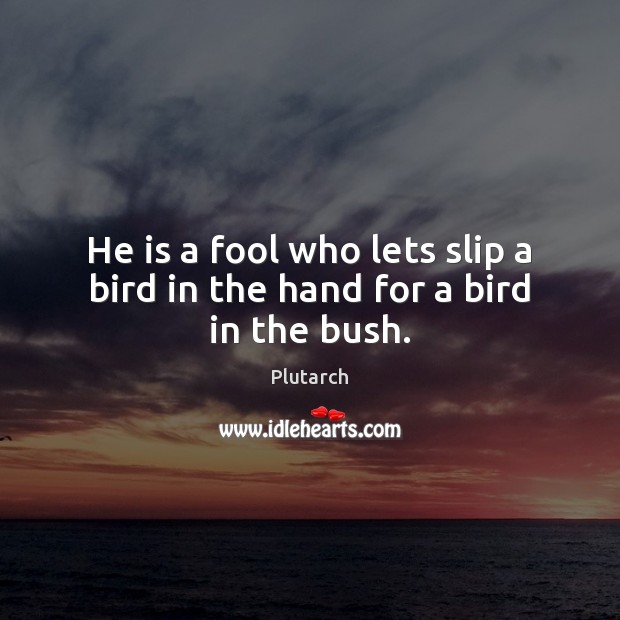 He is a fool who lets slip a bird in the hand for a bird in the bush. Plutarch Picture Quote