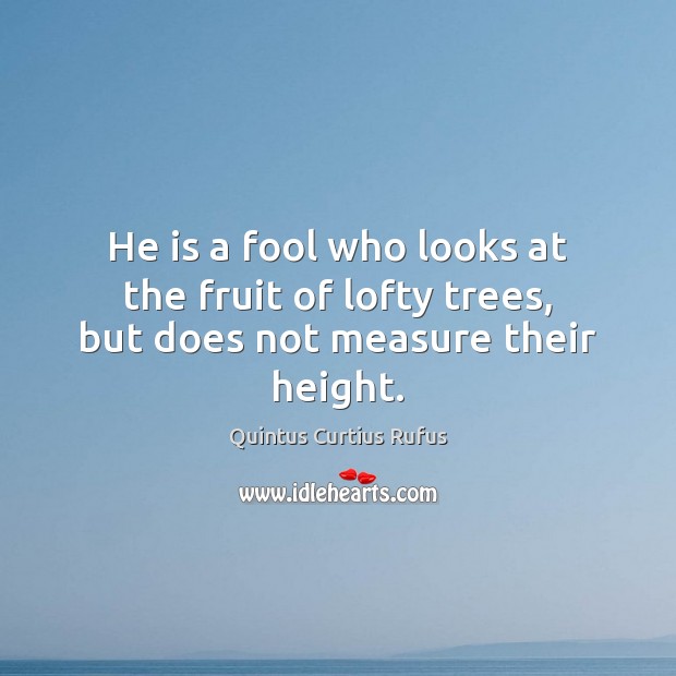 He is a fool who looks at the fruit of lofty trees, but does not measure their height. Image