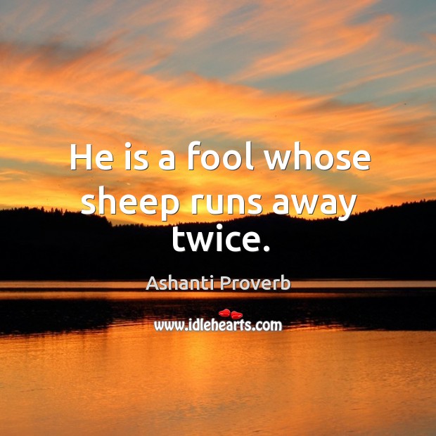 He is a fool whose sheep runs away twice. Image