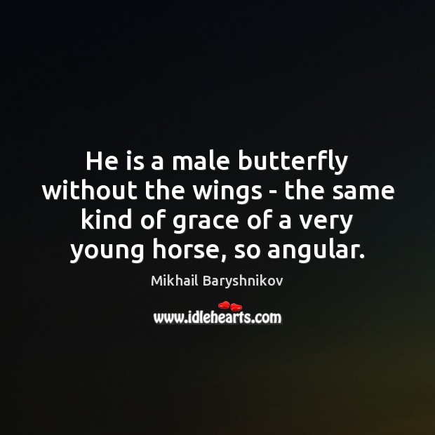 He is a male butterfly without the wings – the same kind Mikhail Baryshnikov Picture Quote
