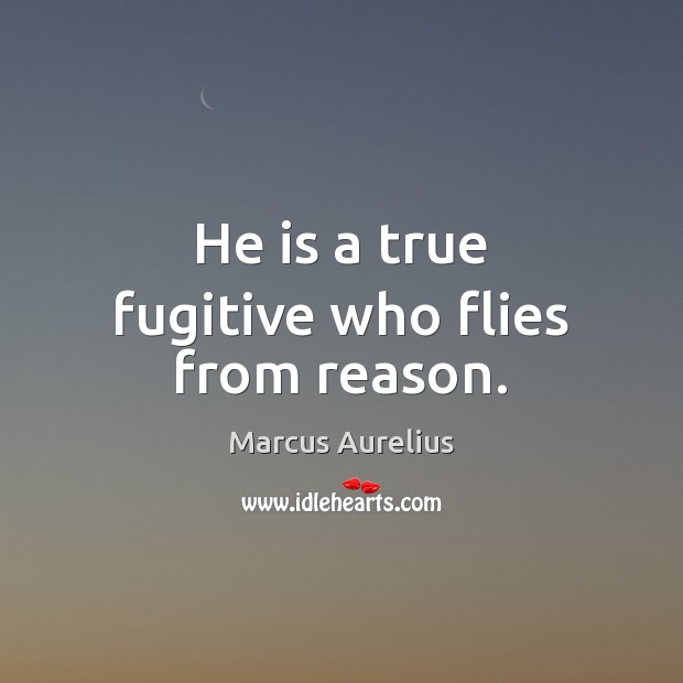 He is a true fugitive who flies from reason. Marcus Aurelius Picture Quote
