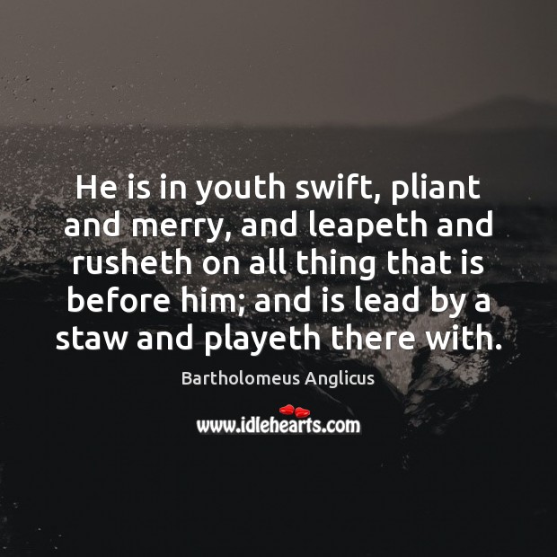 He is in youth swift, pliant and merry, and leapeth and rusheth Image