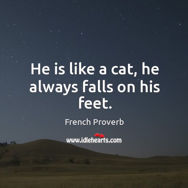 He is like a cat, he always falls on his feet. French Proverbs Image