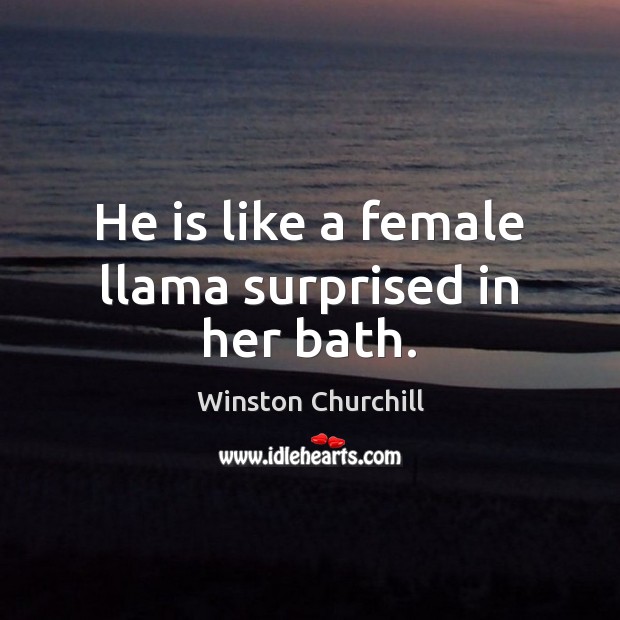 He is like a female llama surprised in her bath. Winston Churchill Picture Quote