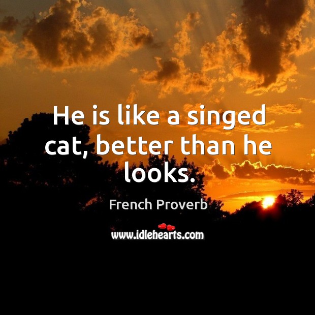 He is like a singed cat, better than he looks. French Proverbs Image
