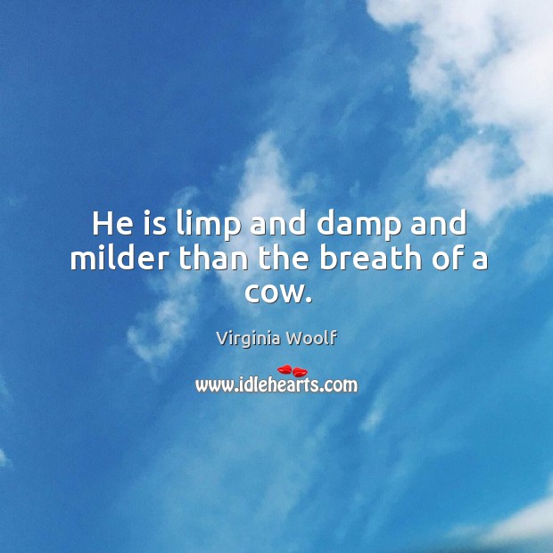 He is limp and damp and milder than the breath of a cow. Virginia Woolf Picture Quote