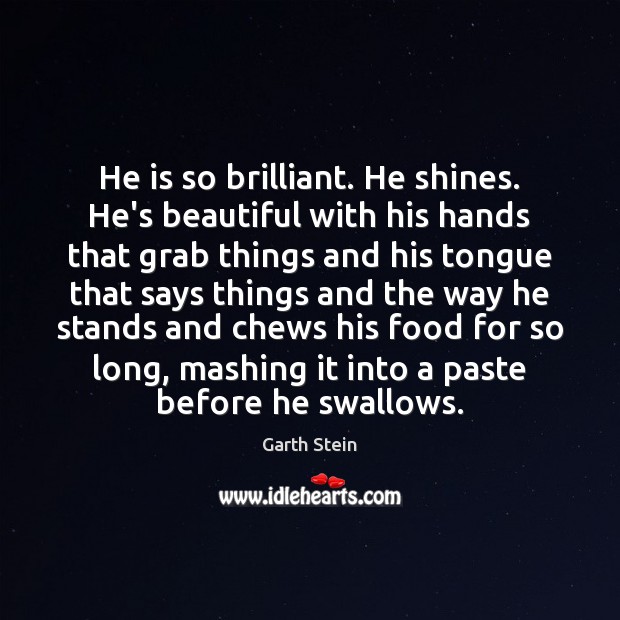 He is so brilliant. He shines. He’s beautiful with his hands that Garth Stein Picture Quote