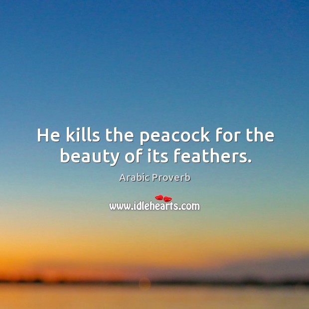 He kills the peacock for the beauty of its feathers. Arabic Proverbs Image