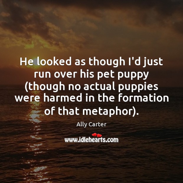 He looked as though I’d just run over his pet puppy (though Ally Carter Picture Quote