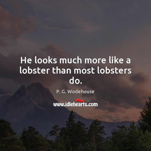 He looks much more like a lobster than most lobsters do. P. G. Wodehouse Picture Quote