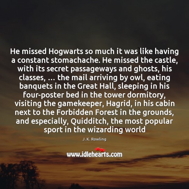 He missed Hogwarts so much it was like having a constant stomachache. Secret Quotes Image