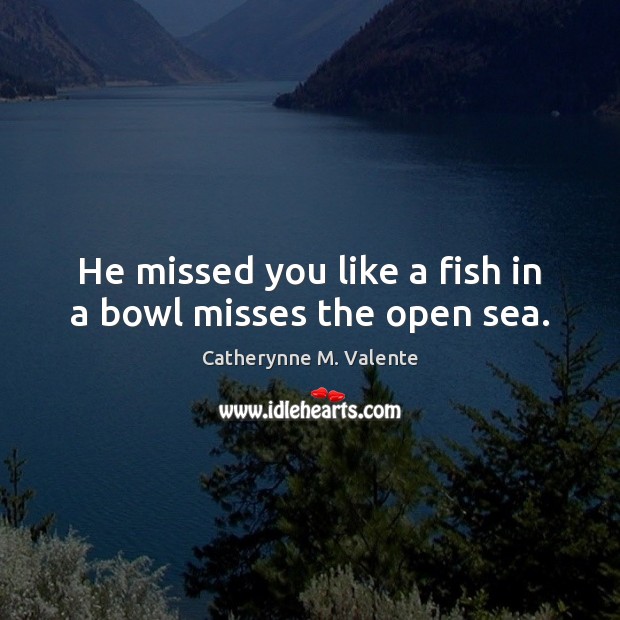 He missed you like a fish in a bowl misses the open sea. Catherynne M. Valente Picture Quote