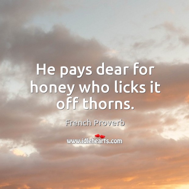 He pays dear for honey who licks it off thorns. French Proverbs Image