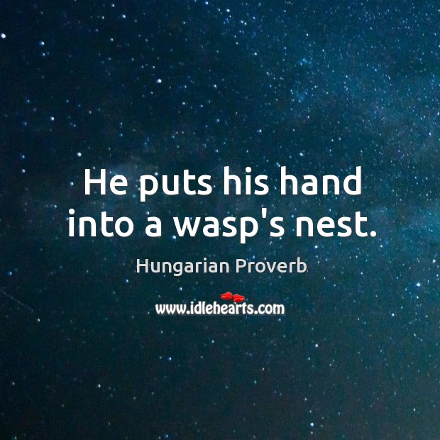 He puts his hand into a wasp’s nest. Image