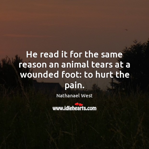 He read it for the same reason an animal tears at a wounded foot: to hurt the pain. Nathanael West Picture Quote