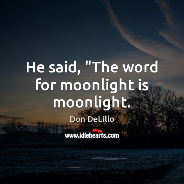He said, “The word for moonlight is moonlight. Don DeLillo Picture Quote