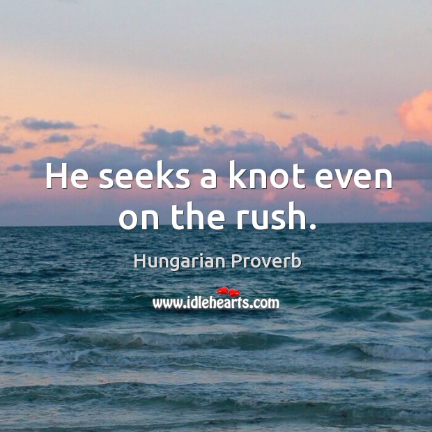 He seeks a knot even on the rush. Image