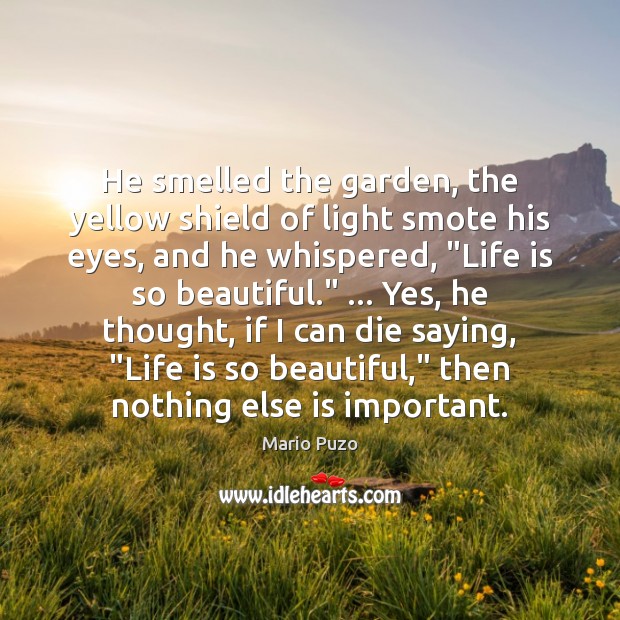 He smelled the garden, the yellow shield of light smote his eyes, Mario Puzo Picture Quote