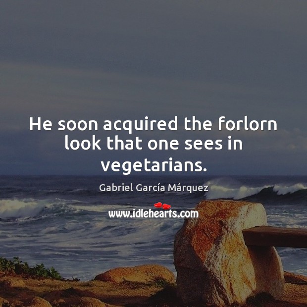 He soon acquired the forlorn look that one sees in vegetarians. Gabriel García Márquez Picture Quote