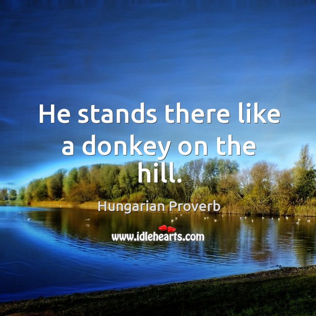 He stands there like a donkey on the hill. Image