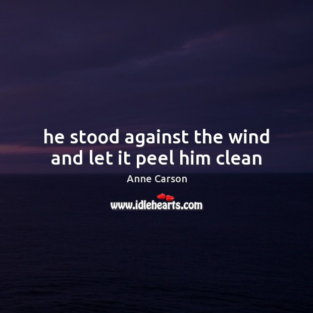 He stood against the wind and let it peel him clean Anne Carson Picture Quote