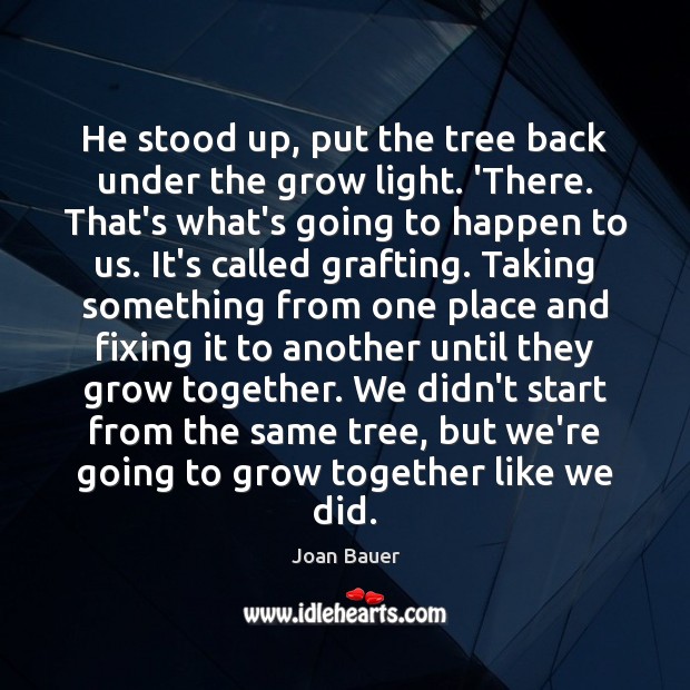 He stood up, put the tree back under the grow light. ‘There. Joan Bauer Picture Quote
